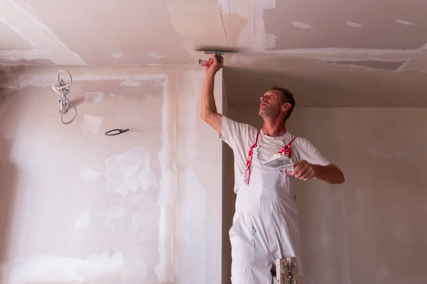 Wallpaper Removal and Painting in Ripley, MS